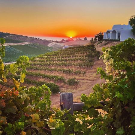 Sirena Vineyard Resort - 3 Bedroom Guest House Paso Robles Eksteriør billede